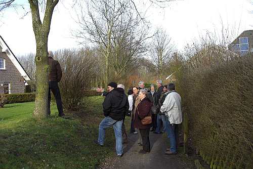 besenwerfen 2012 010.jpg